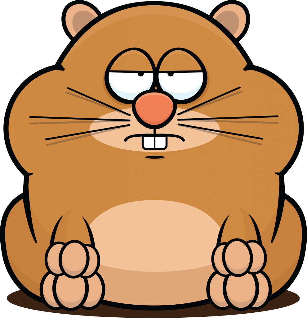 Cartoon illustration of a hamster with a tired expression.