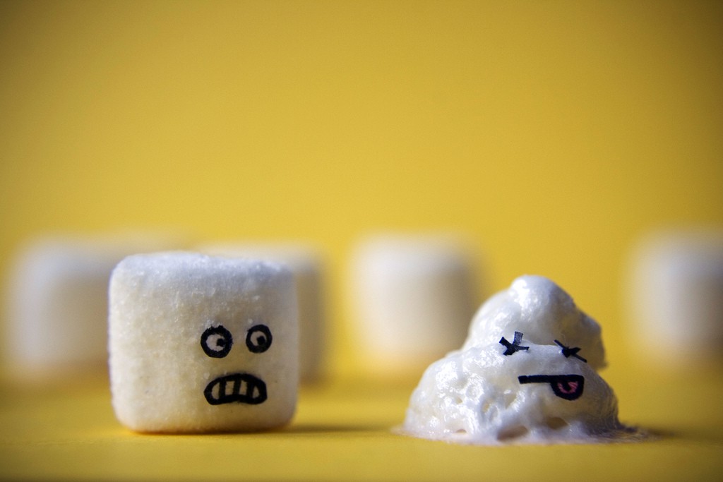 nicholas-hendrickx,the-marshmallow-incident,macro-yellow-digital-dead-small-marshmallows-sonia-melted-1cm-youknowthesmallonesforinahotchoco