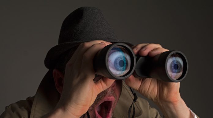 Surface, ale jako smartfon już pod koniec 2016 roku