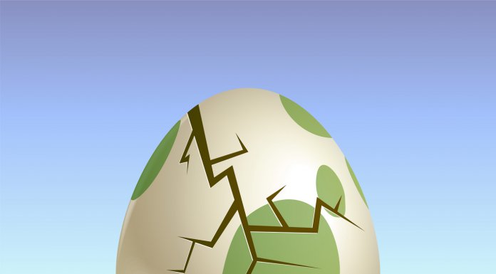 pokemon, pokemon go, adventure week, shiny,