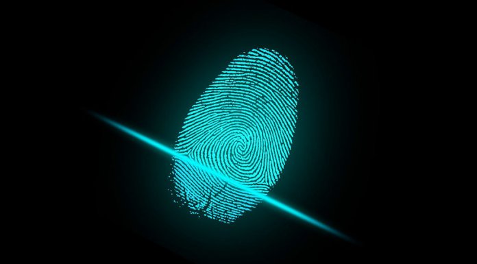 czytnik linii papilarnych