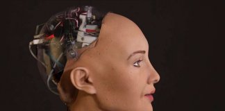 Sophia robot