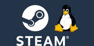 Steam Linux