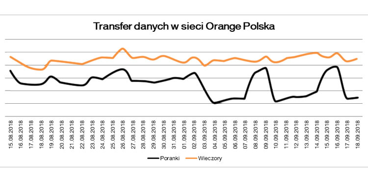 Orange statystyki ruchu