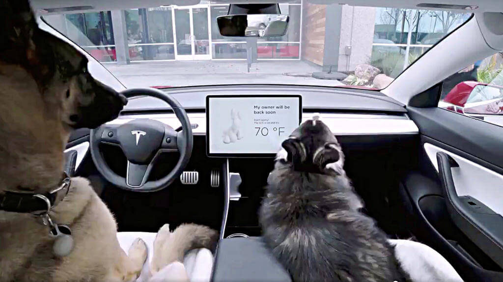 Tesla dog mode