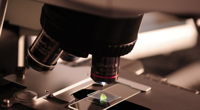 CVE-2019-6538, us cert