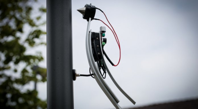 Marco Barotti dzięcioł