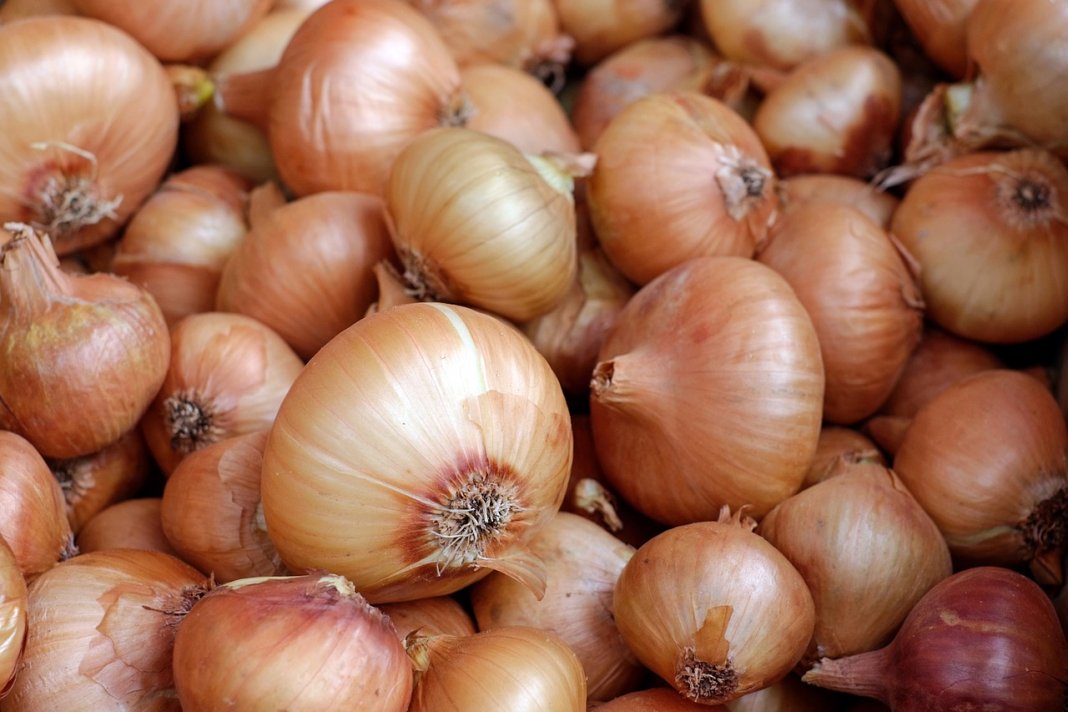 cebula, czosnek, onion, garlic, realme, china, smartfon, design