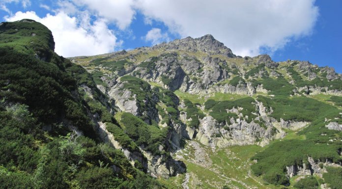 Dolina Roztoki T-Mobile