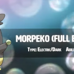 morpeko belly