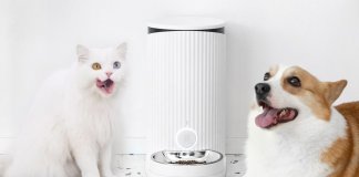 Xiaomi FurryTail