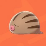 swinub