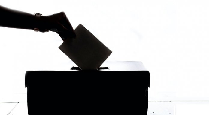 Wybory zdalne w Polsce – czy takie rozwiązanie ma sens? wybory