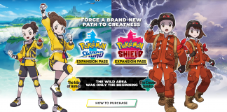 pokemon sword & shield, the isle of armor, the crown tundra, nintendo, pokemon home, pokemon go,