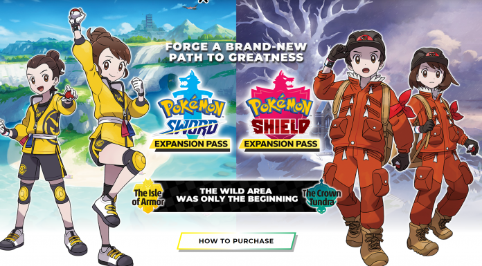 pokemon sword & shield, the isle of armor, the crown tundra, nintendo, pokemon home, pokemon go,