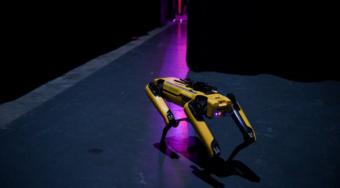Boston Dynamics Spot Mini